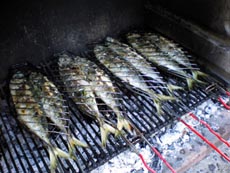 Grillen Istrien